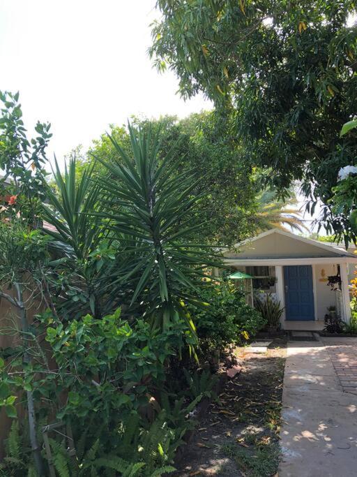 Independent Studio In Little Havana Miami Exterior foto